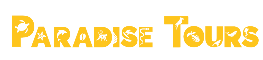 Font name Paradise tours yellow