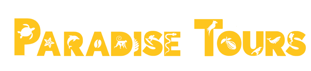 Font name Paradise tours yellow