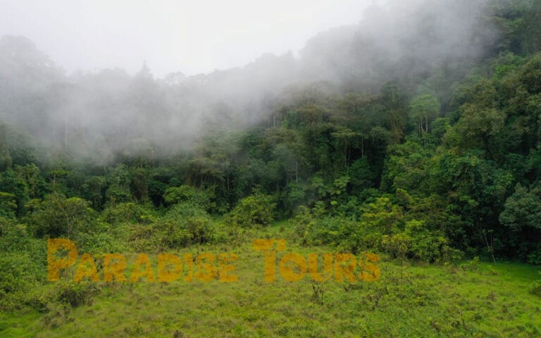saotome paradise amelie lagoon drone 002