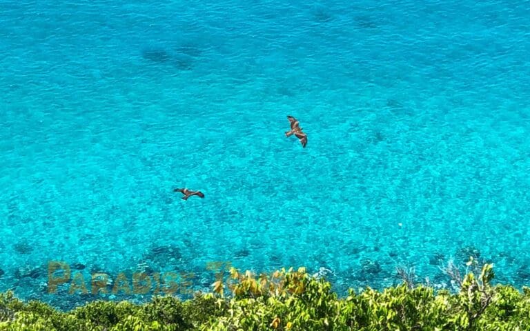 saotome paradise cabras island 001