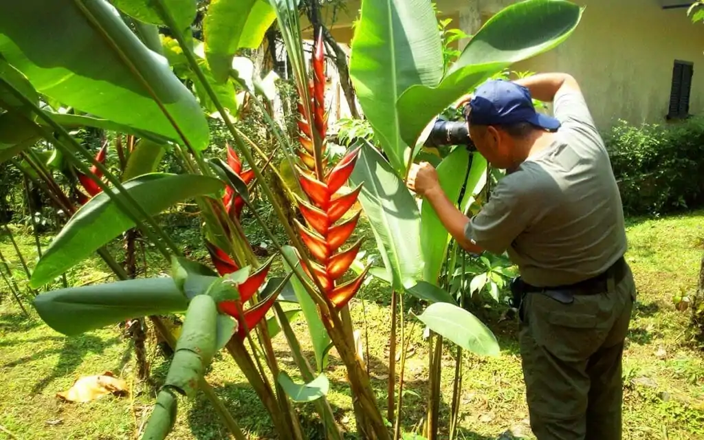 saotome paradise center botanical garden 002