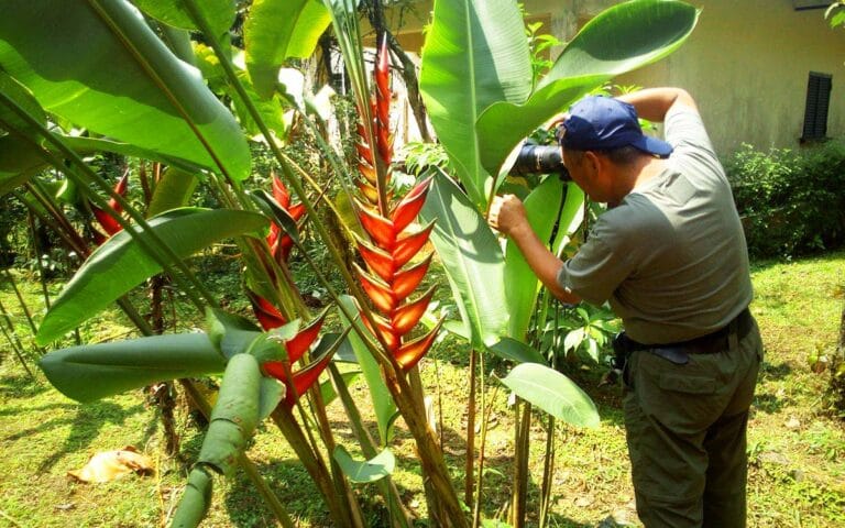 saotome paradise center botanical garden 002