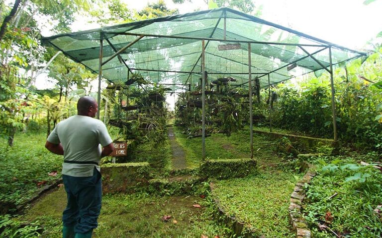 saotome paradise center botanical garden 006