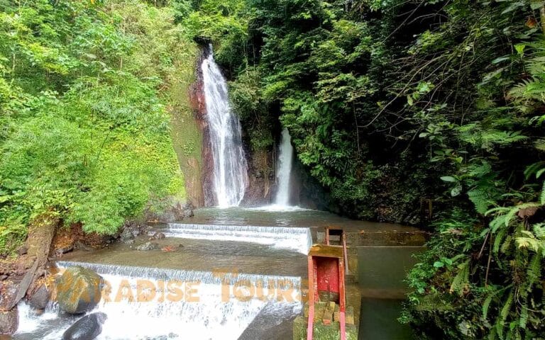 saotome paradise center road milagrosa 02