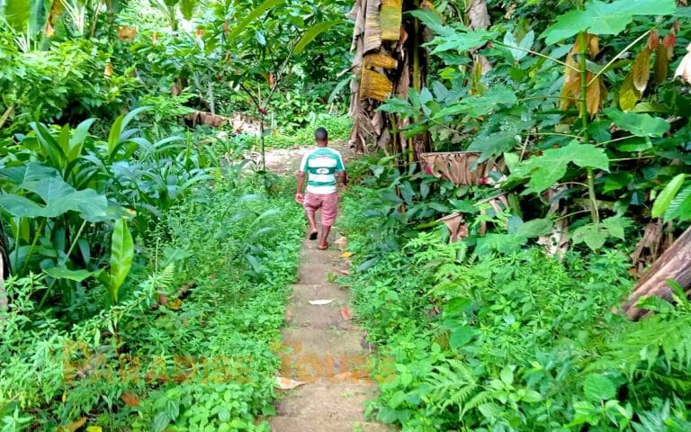 saotome paradise center road milagrosa 03