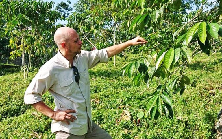 saotome-paradise-coffee-tour-007 saotome paradise coffee tour 007
