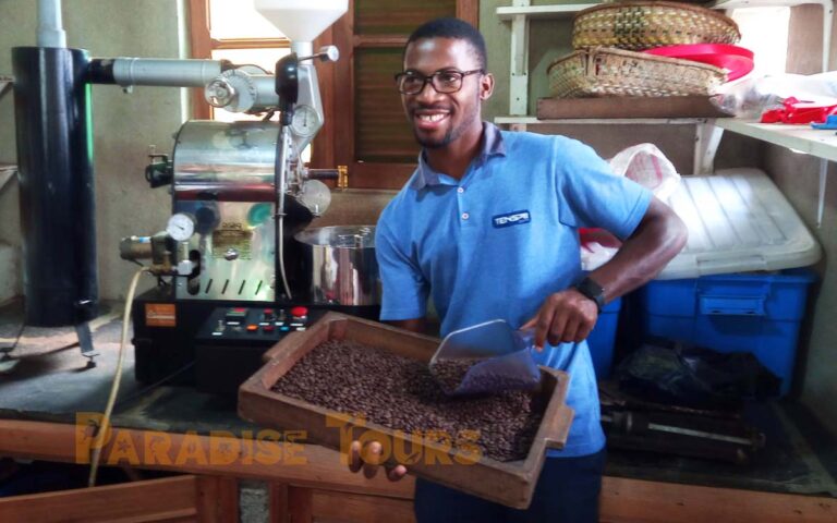 saotome-paradise-coffee-workshop-001 saotome paradise coffee workshop 001