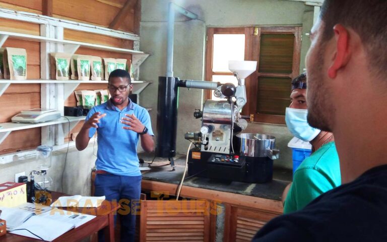 saotome-paradise-coffee-workshop-003 saotome paradise coffee workshop 003