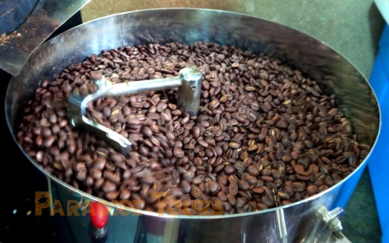 saotome-paradise-coffee-workshop-006 saotome paradise coffee workshop 006