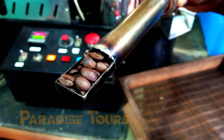 saotome-paradise-coffee-workshop-007 saotome paradise coffee workshop 007