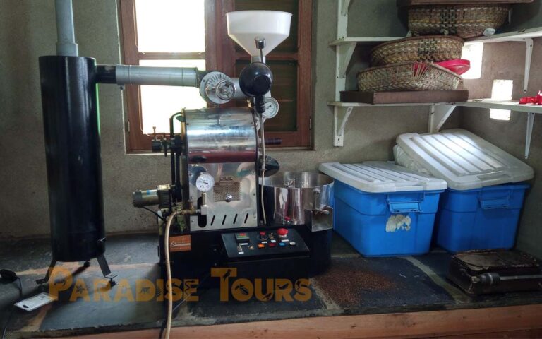 saotome-paradise-coffee-workshop-010 saotome paradise coffee workshop 010