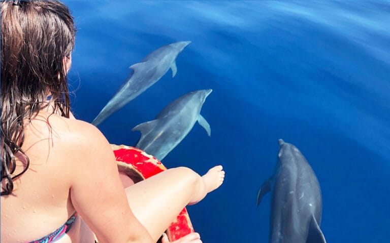 saotome-paradise-dolphins-011-nowm-jpg saotome paradise dolphins 011 nowm