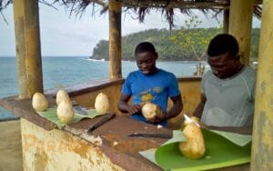 saotome paradise east coast 005