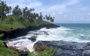 saotome paradise east coast 006