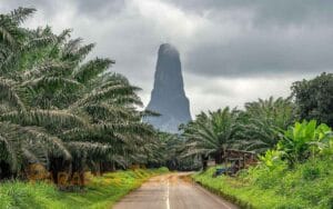 saotome paradise east coast 013