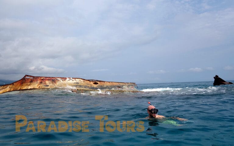 saotome paradise free diving 008