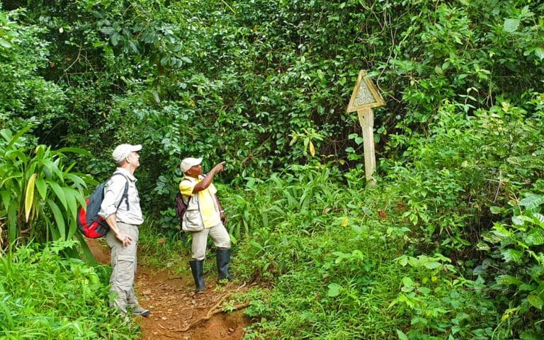 saotome paradise hike amelia lagoon 001