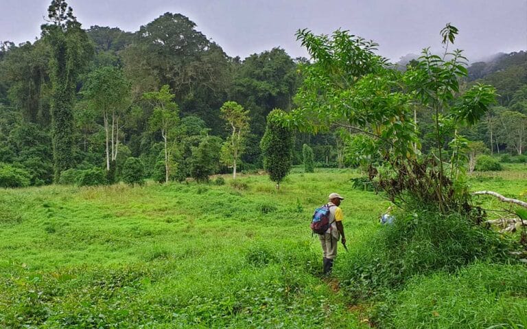 saotome paradise hike amelia lagoon 002