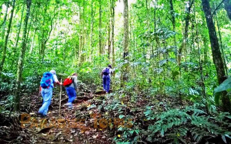 saotome paradise hike amelia lagoon 007