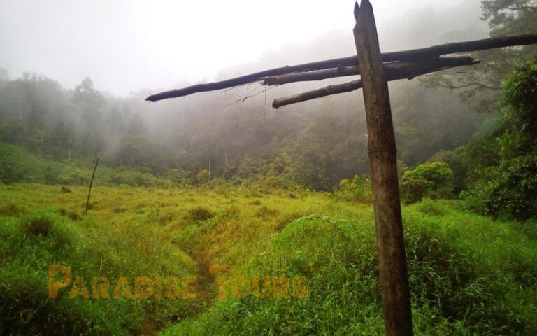 saotome paradise hike amelia lagoon 010