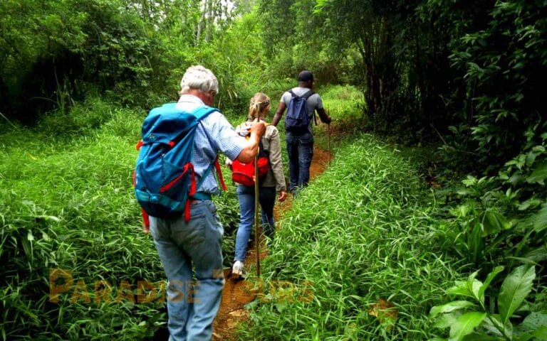 saotome paradise hike amelia lagoon 014