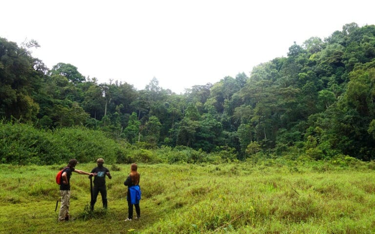 saotome paradise hike amelia lagoon 016