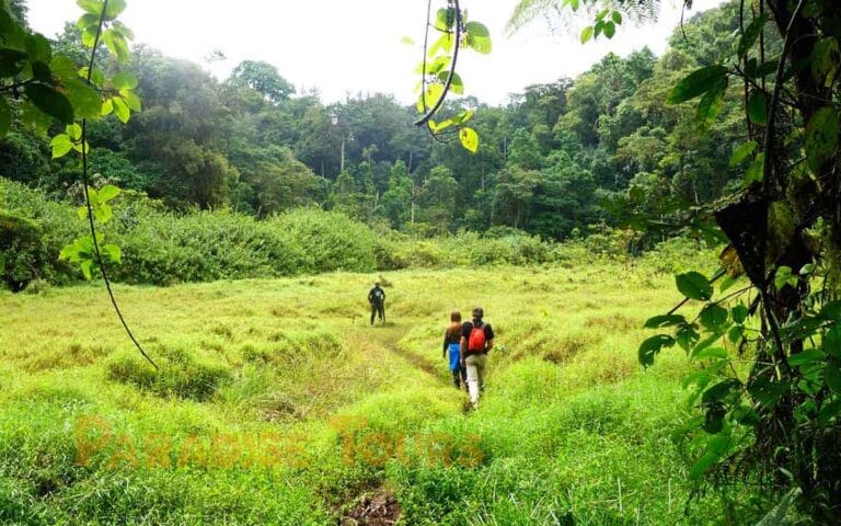 saotome paradise hike amelia lagoon 018