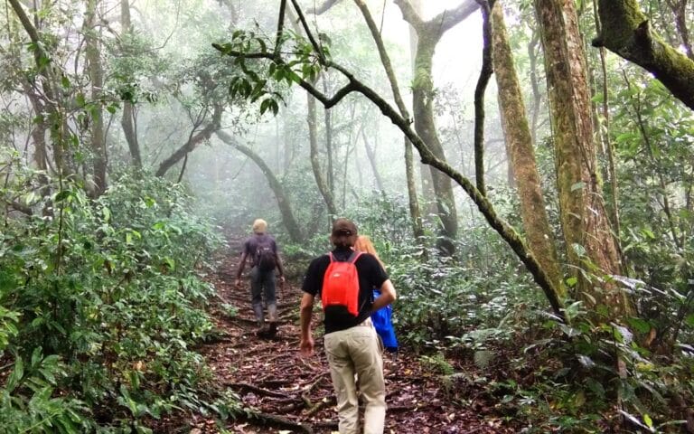 saotome paradise hike amelia lagoon 019