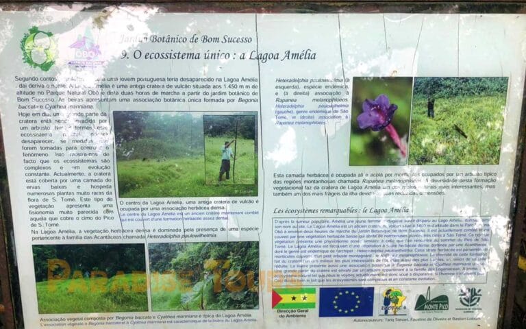 saotome paradise hike amelia lagoon 023