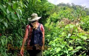 saotome paradise hike amelia lagoon 026