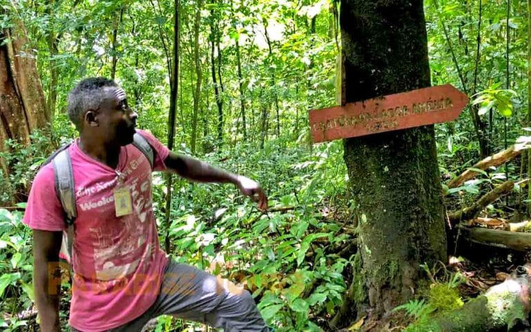 saotome paradise hike amelia lagoon 029
