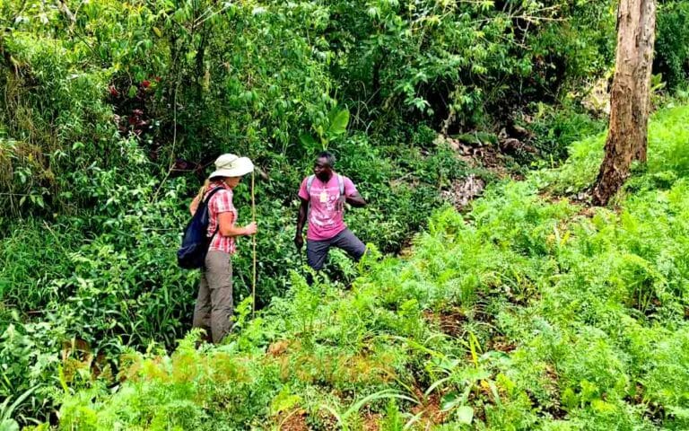saotome paradise hike amelia lagoon 042