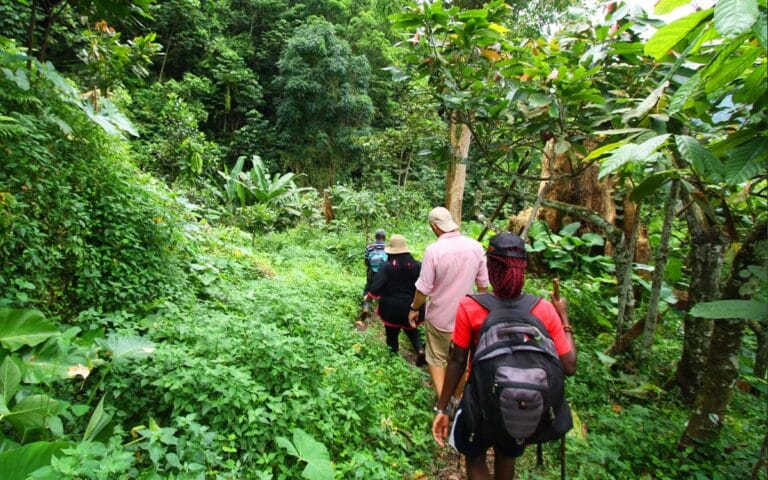 saotome paradise hike angolares waterfall 004
