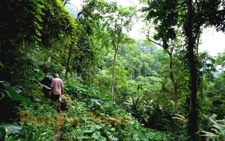 saotome paradise hike angolares waterfall 020
