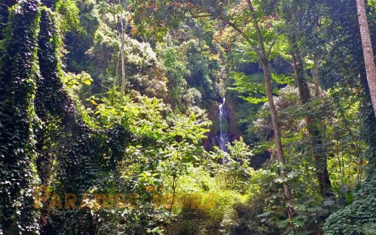saotome paradise hike angolares waterfall 021