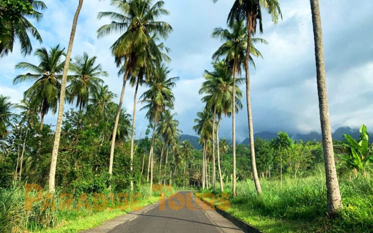 saotome-paradise-north-road-003 saotome paradise north road 003