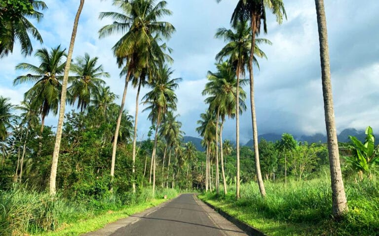 saotome-paradise-north-road-003-nowm-jpg saotome paradise north road 003 nowm