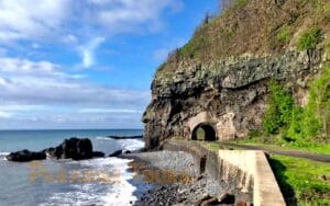 saotome paradise north road 040