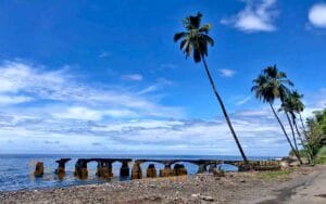 saotome paradise north road 043