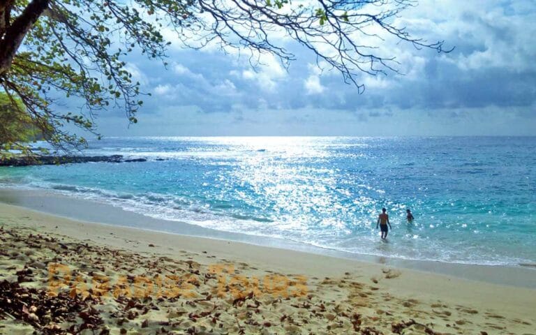 saotome-paradise-rolas-island-003 saotome paradise rolas island 003