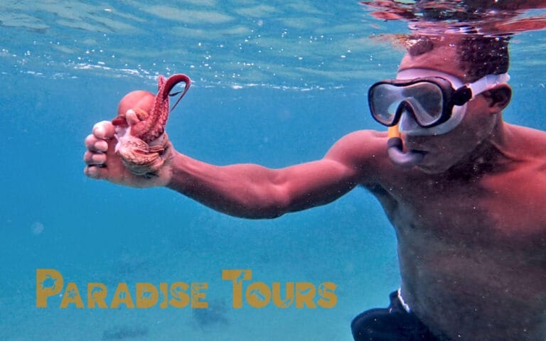 saotome-paradise-snorkeling-coach-001 saotome paradise snorkeling coach 001