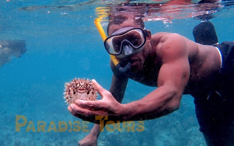saotome-paradise-snorkeling-coach-008 saotome paradise snorkeling coach 008