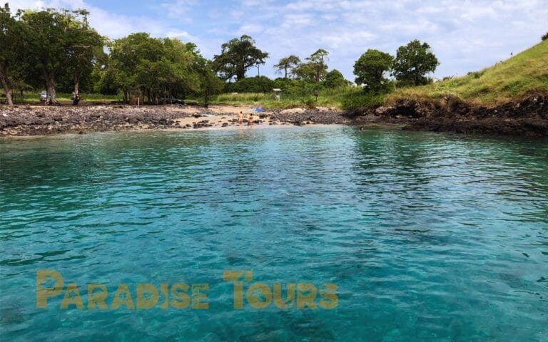 saotome-paradise-snorkeling-coach-010 saotome paradise snorkeling coach 010