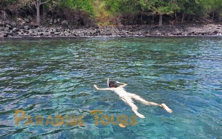 saotome-paradise-snorkeling-coach-011 saotome paradise snorkeling coach 011