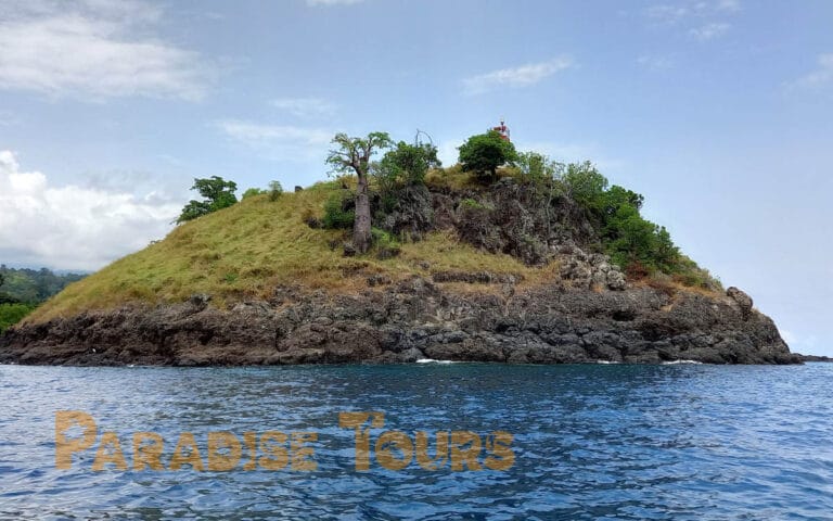 saotome-paradise-snorkeling-coach-014 saotome paradise snorkeling coach 014