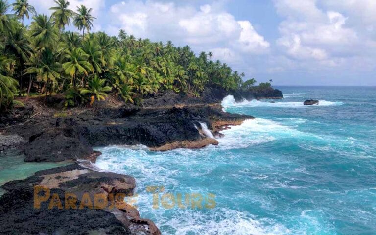 saotome paradise south beaches 001