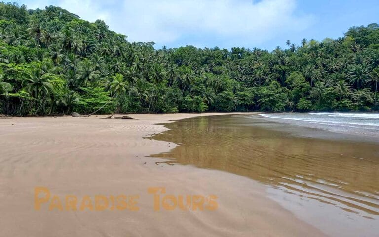 saotome paradise south beaches 004 praia grande