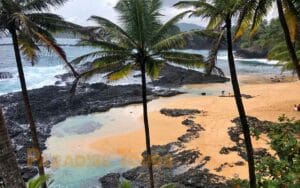 saotome paradise south beaches 006