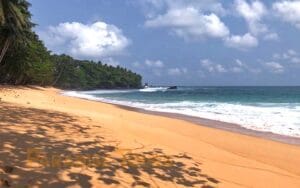 saotome paradise south beaches 008 inhame