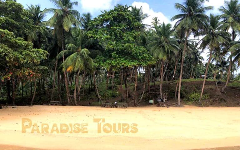 saotome paradise south beaches 010 piscina